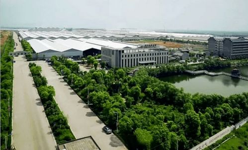 重磅 唯美集團成為首批 中國綠色產(chǎn)品認(rèn)證 企業(yè)